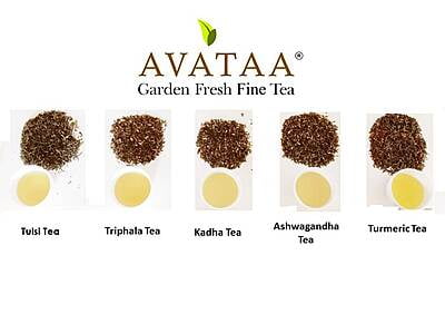 Triphala Tea - Wellness